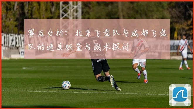 赛后分析：北京飞盘队与成都飞盘队的速度较量与战术探讨